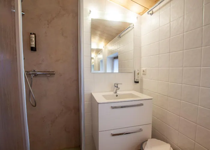 Apartment Waterfront Zell Am - Steinbock Zell am See