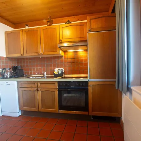 Waterfront Zell Am - Steinbock * 滨湖采尔