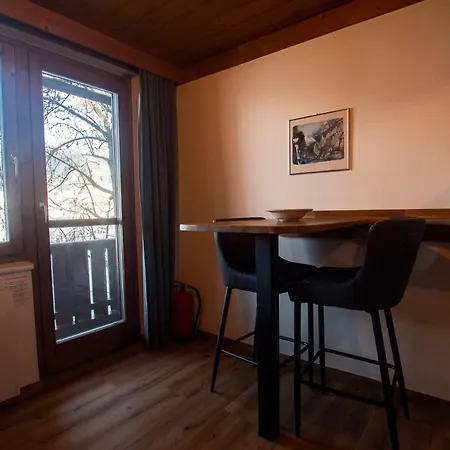 Waterfront Zell Am - Steinbock 公寓