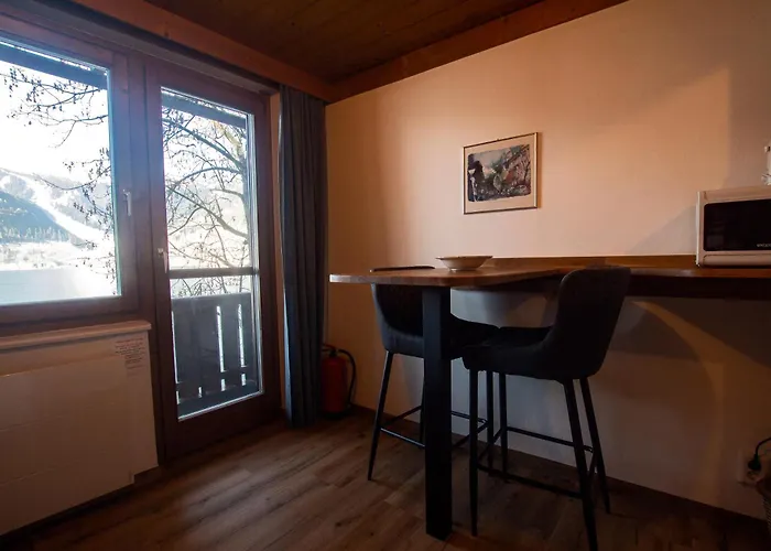 Waterfront Zell Am - Steinbock Appartement